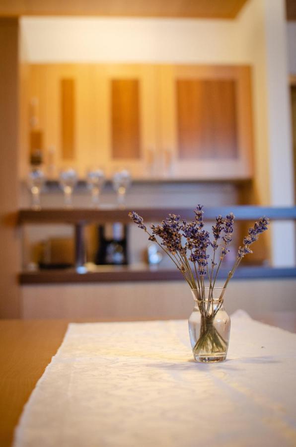 Luxury Apartments Prezin Hočko Pohorje Εξωτερικό φωτογραφία